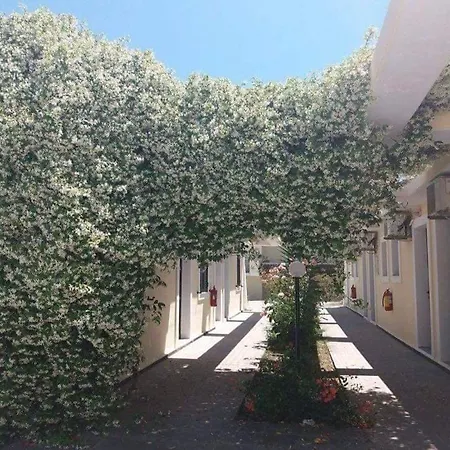 Monika 2* סידריון